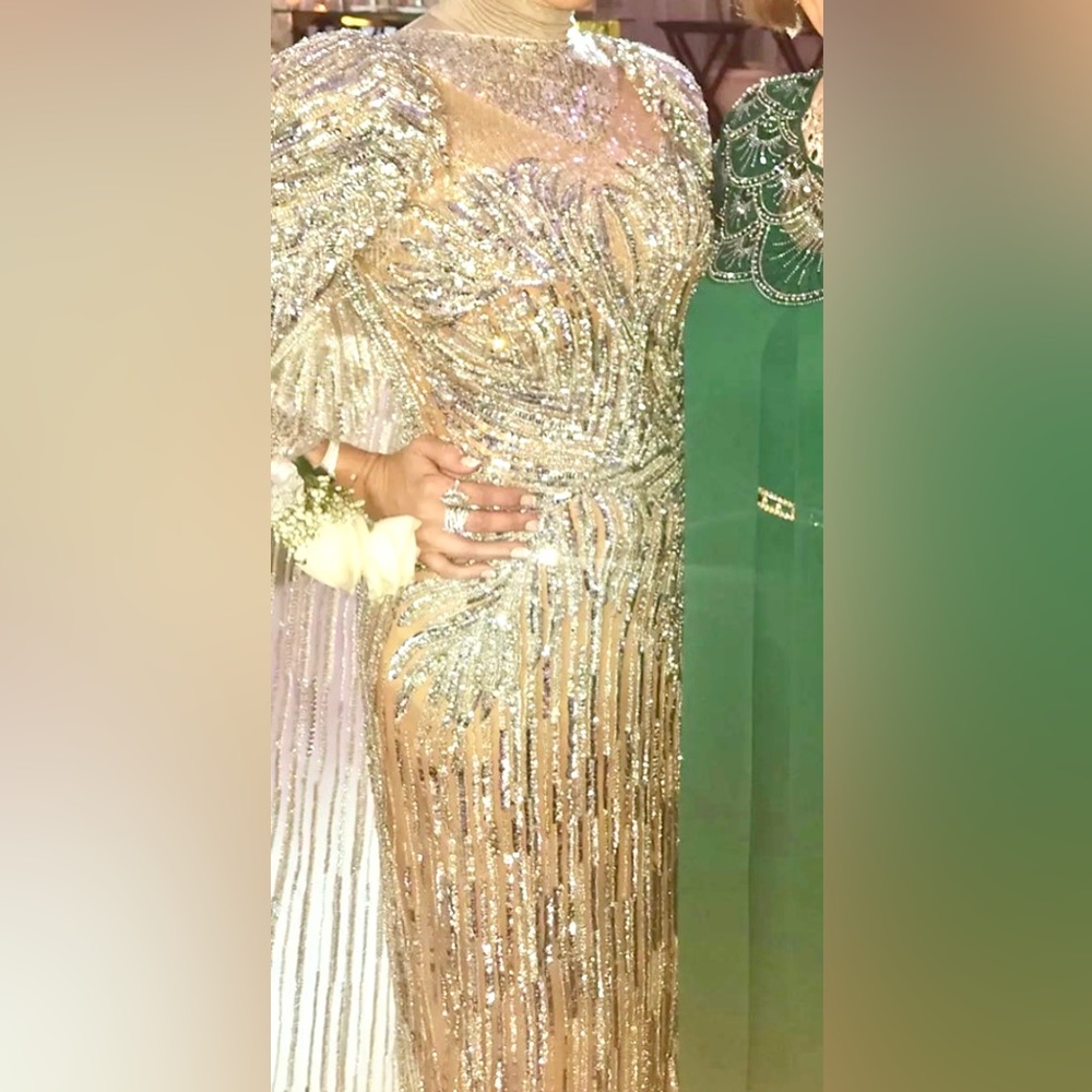 Gorgeous Silver Couture Cap Gown - Picture 5 of 6